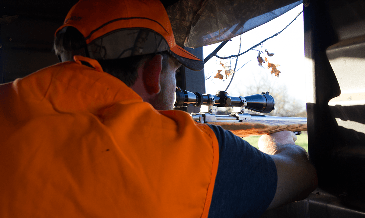 So What Happened To Deer Hunting? - Guns and Cornbread